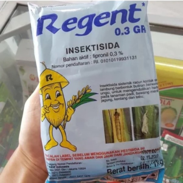 Regent bubuk 1kg