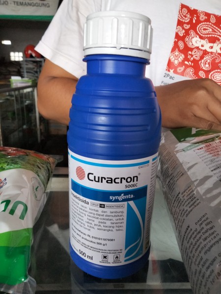 curacron besar 500 ml