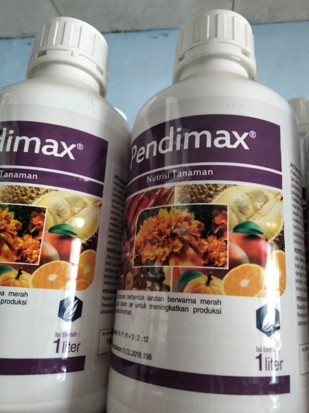 pendimax