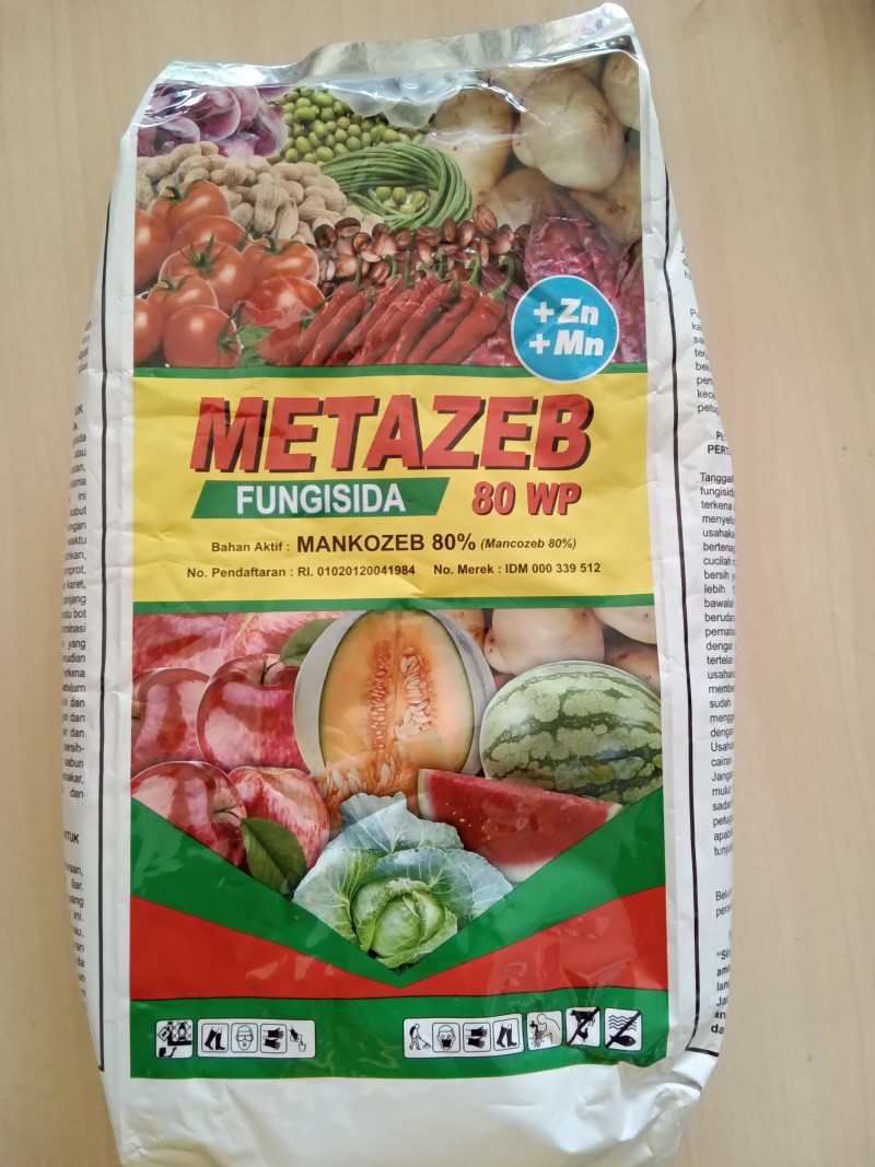 Metazeb