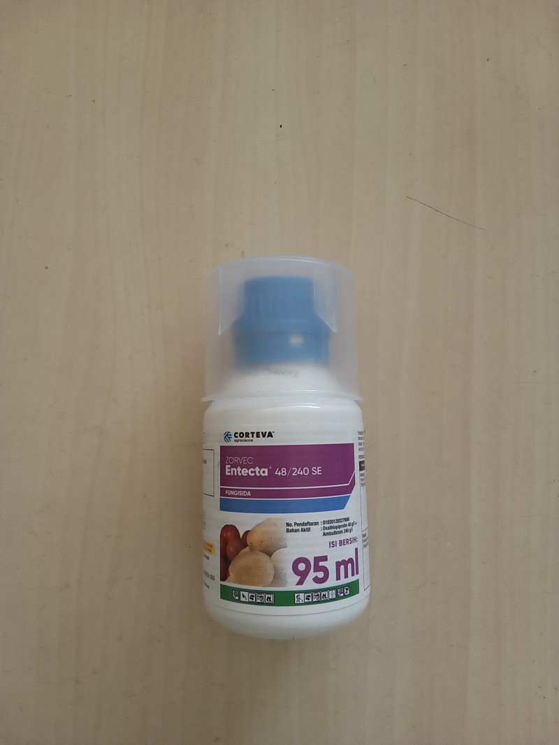 Zorvec entecta 48/240 SE