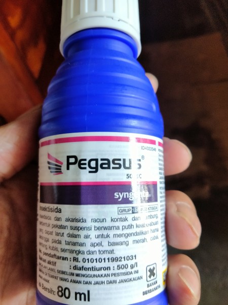 Pegasus 80 ml
