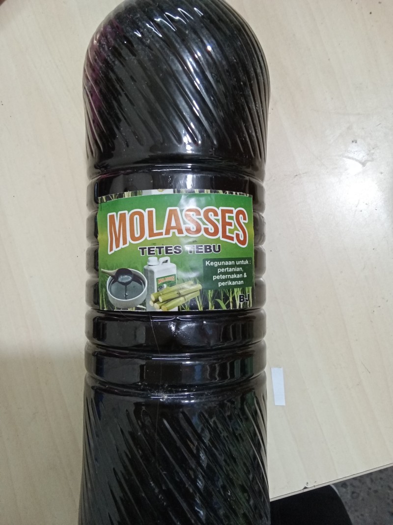 Molasses