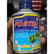 FOSTIN 100ML